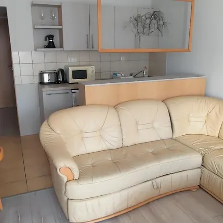 Aliz * ザラカロシュ