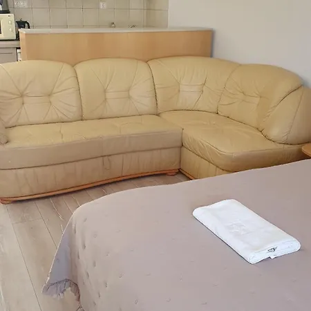 Aliz ザラカロシュ